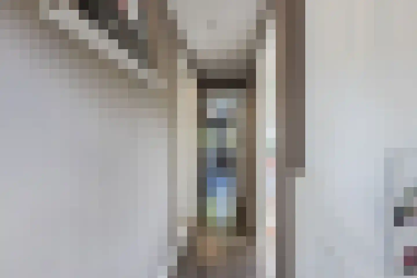 Meerboomweg 181 Hollandscheveld thumbnail 28