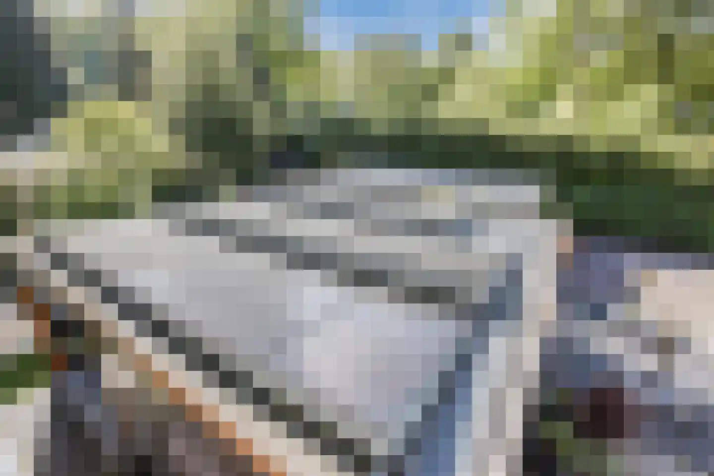 Meerboomweg 181 Hollandscheveld thumbnail 32