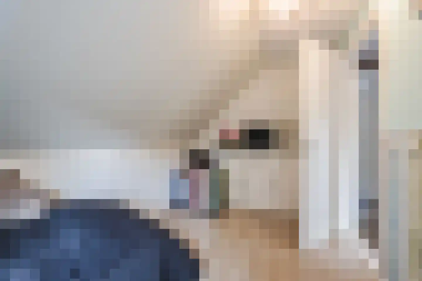 Meerboomweg 181 Hollandscheveld thumbnail 35