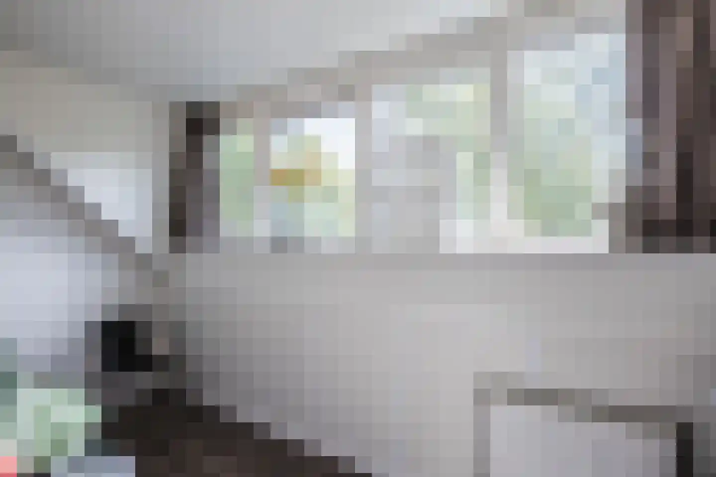 Meerboomweg 181 Hollandscheveld thumbnail 36