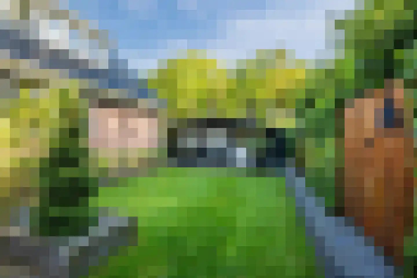 Meerboomweg 181 Hollandscheveld thumbnail 37