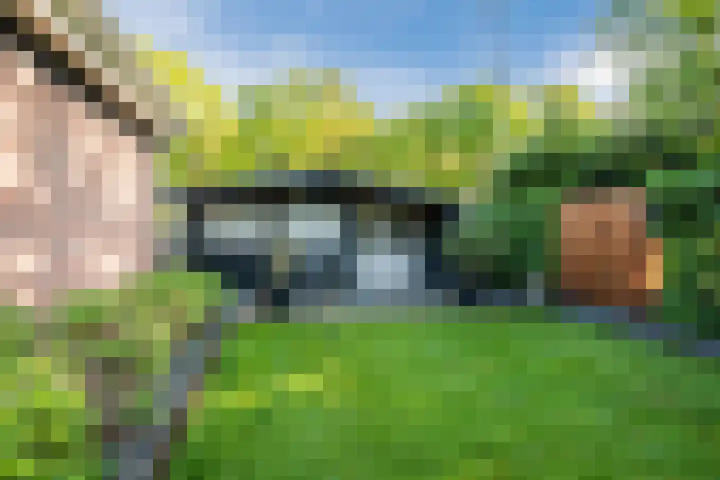 Meerboomweg 181 Hollandscheveld thumbnail 38