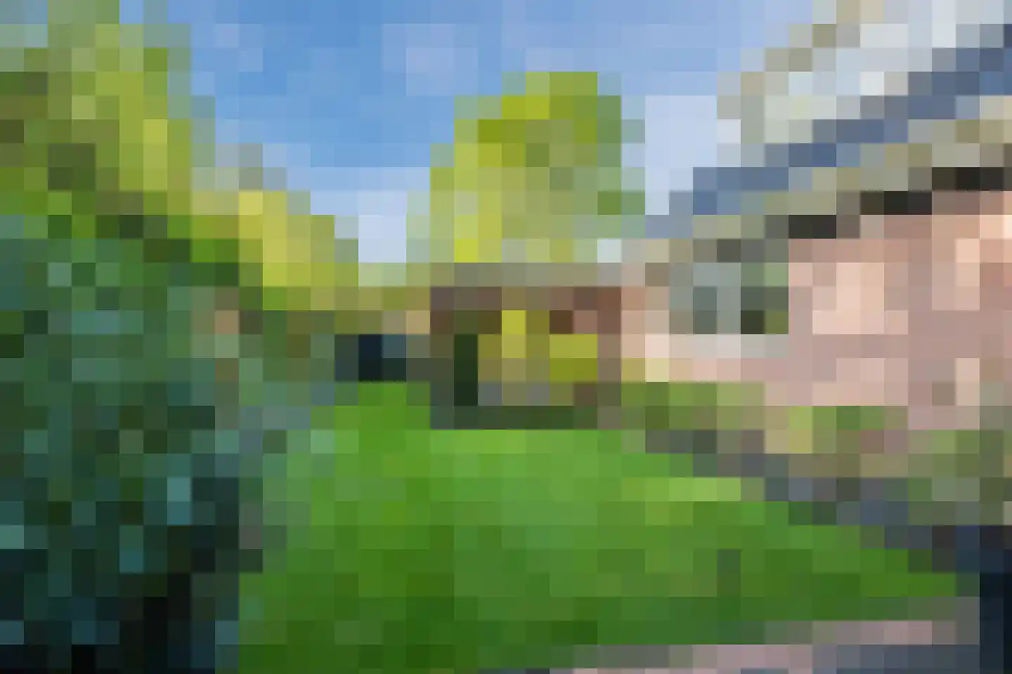 Meerboomweg 181 Hollandscheveld thumbnail 39