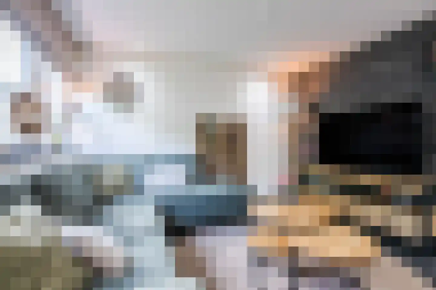 Meerboomweg 181 Hollandscheveld thumbnail 4