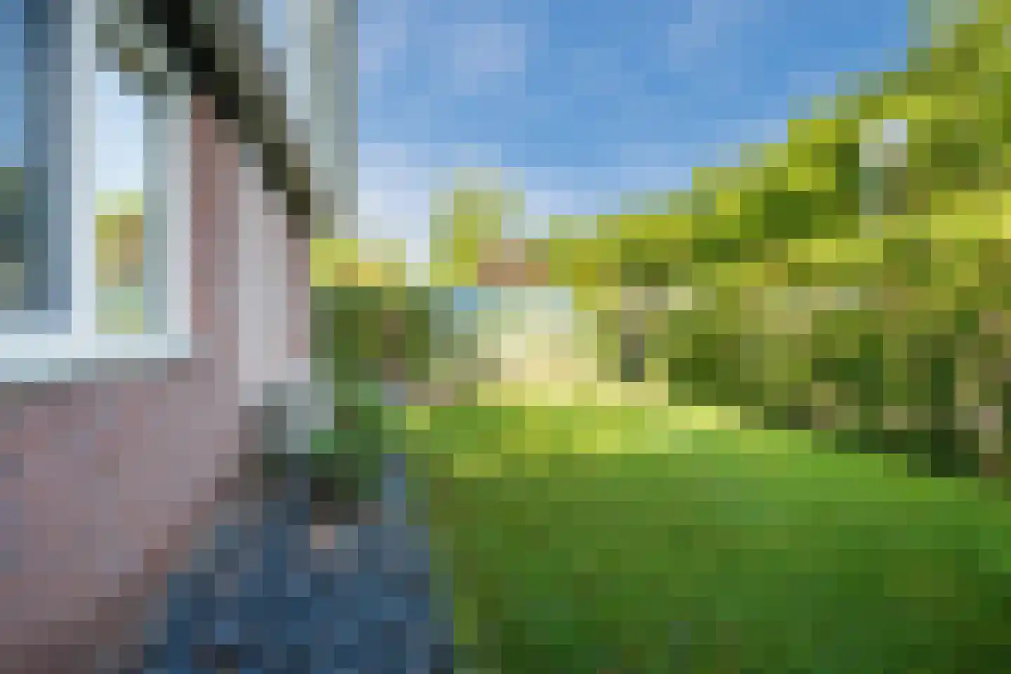 Meerboomweg 181 Hollandscheveld thumbnail 41