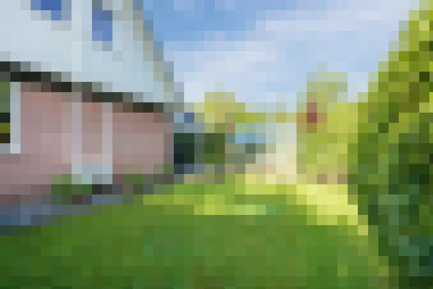 Meerboomweg 181 Hollandscheveld thumbnail 42