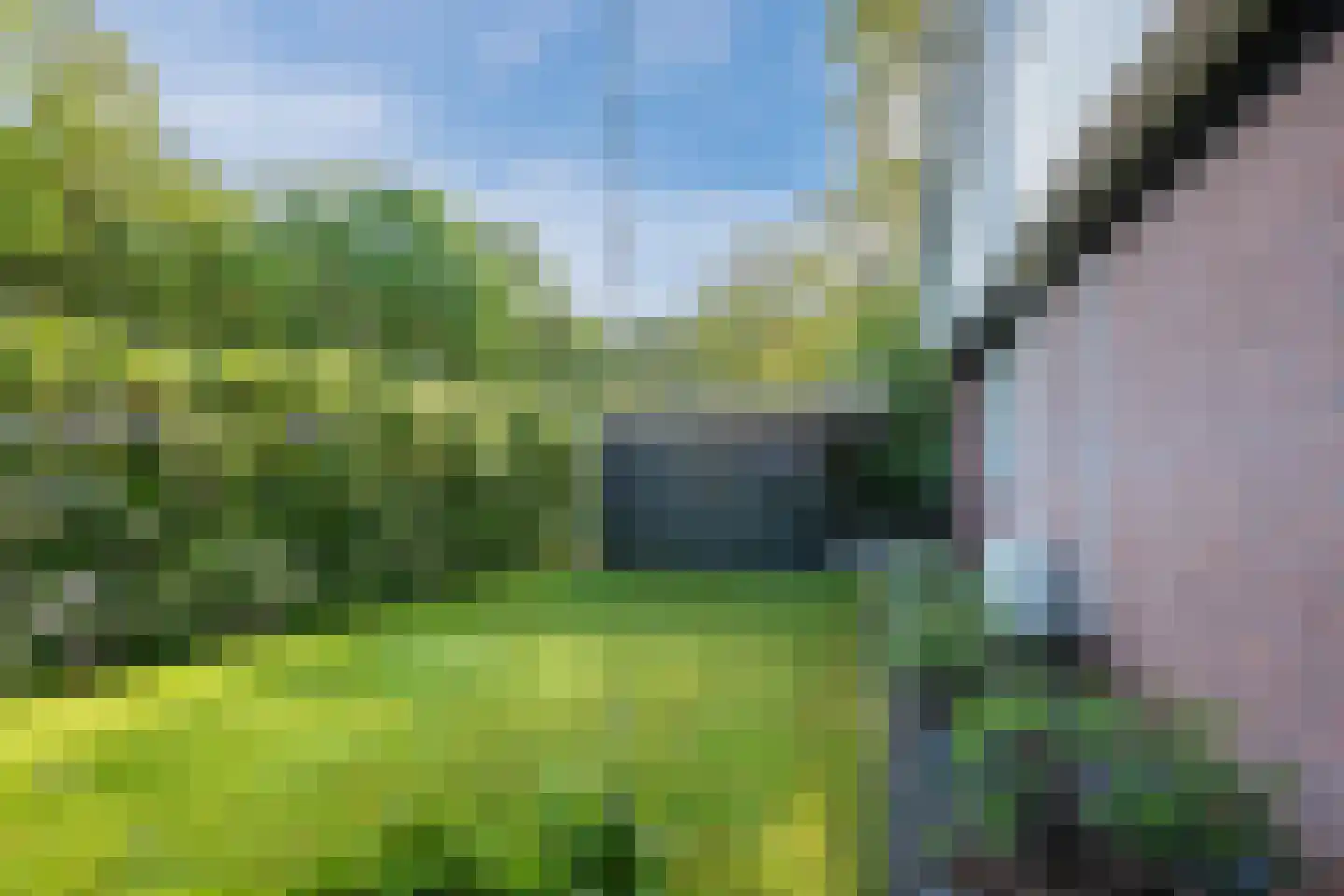 Meerboomweg 181 Hollandscheveld thumbnail 44