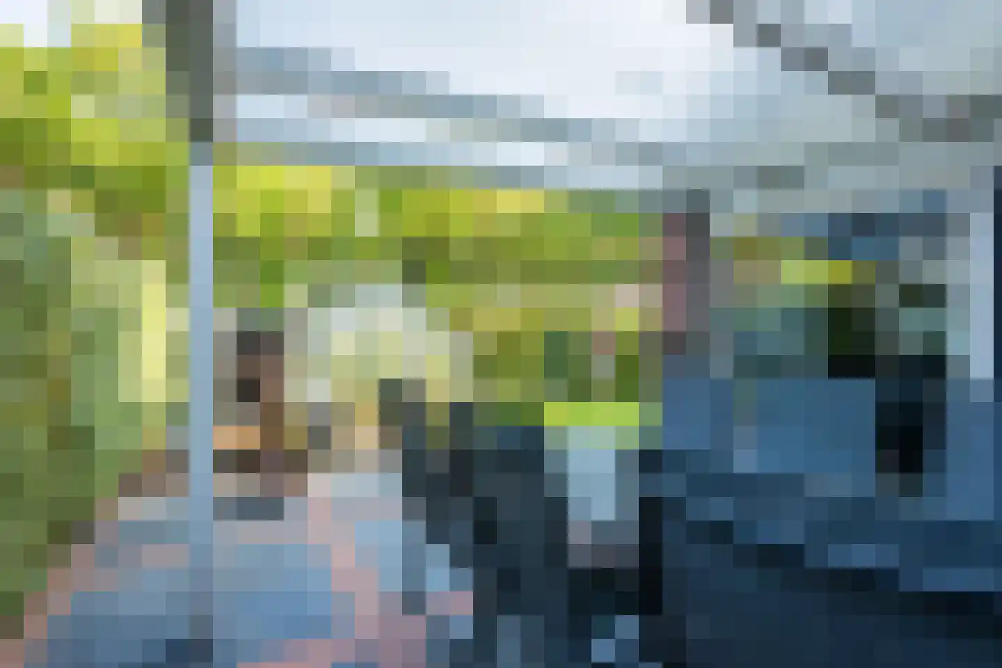 Meerboomweg 181 Hollandscheveld thumbnail 46