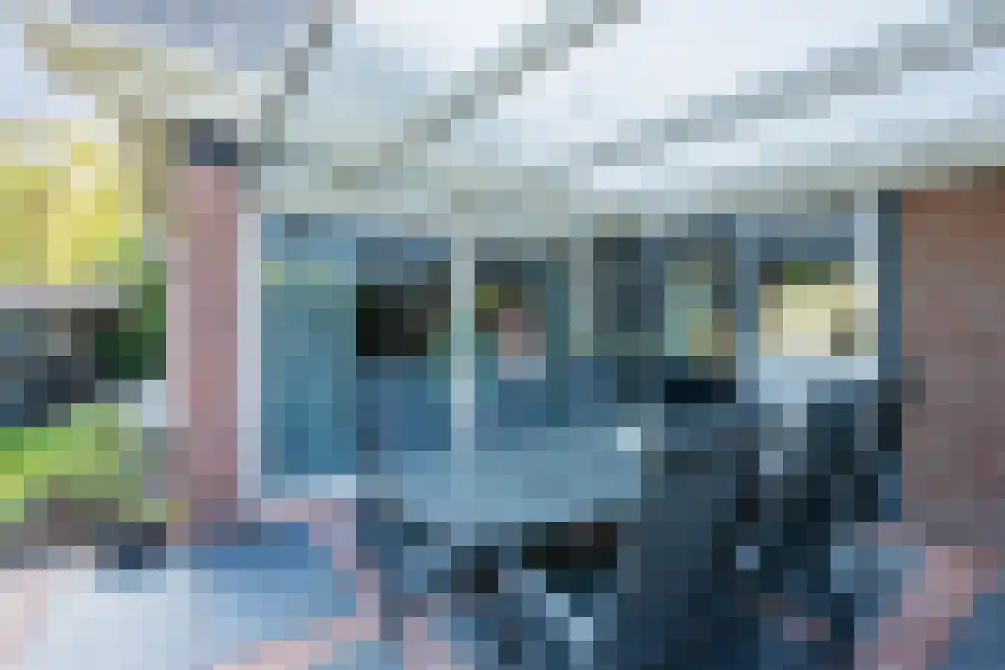 Meerboomweg 181 Hollandscheveld thumbnail 47