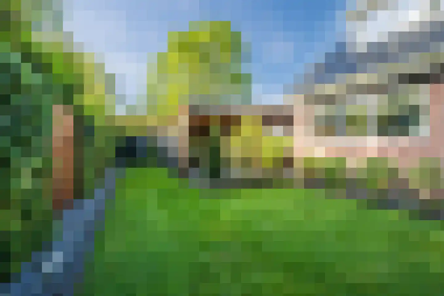 Meerboomweg 181 Hollandscheveld thumbnail 49