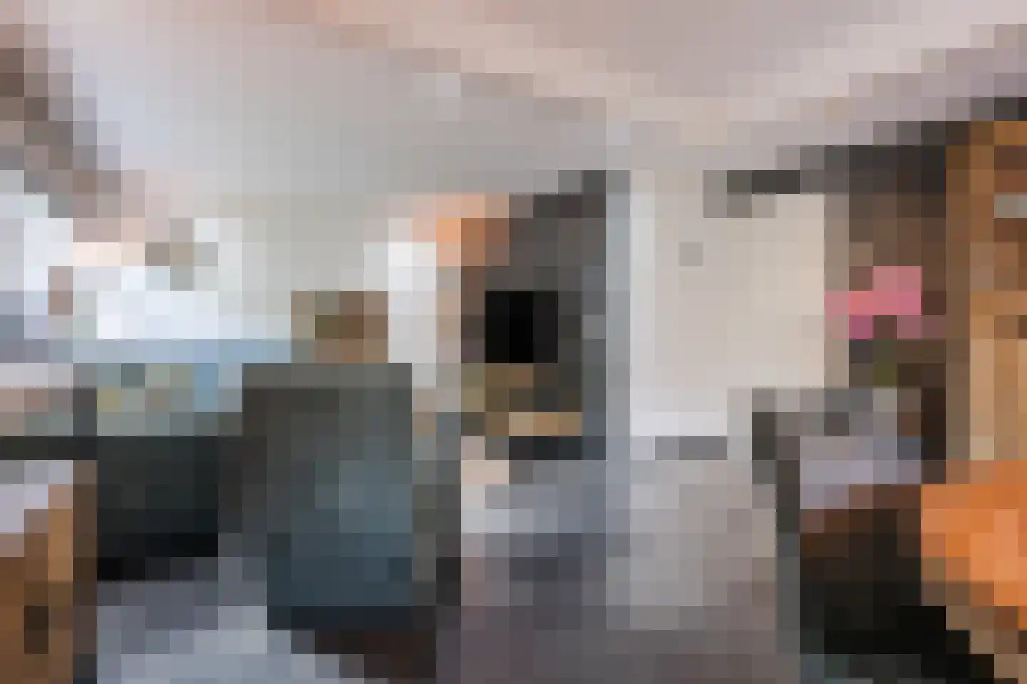 Meerboomweg 181 Hollandscheveld thumbnail 5
