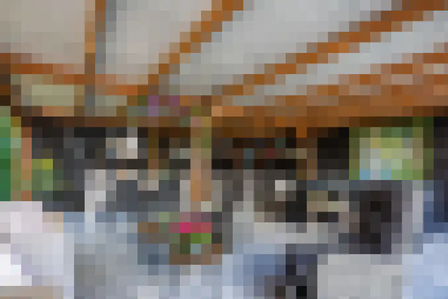 Meerboomweg 181 Hollandscheveld thumbnail 53