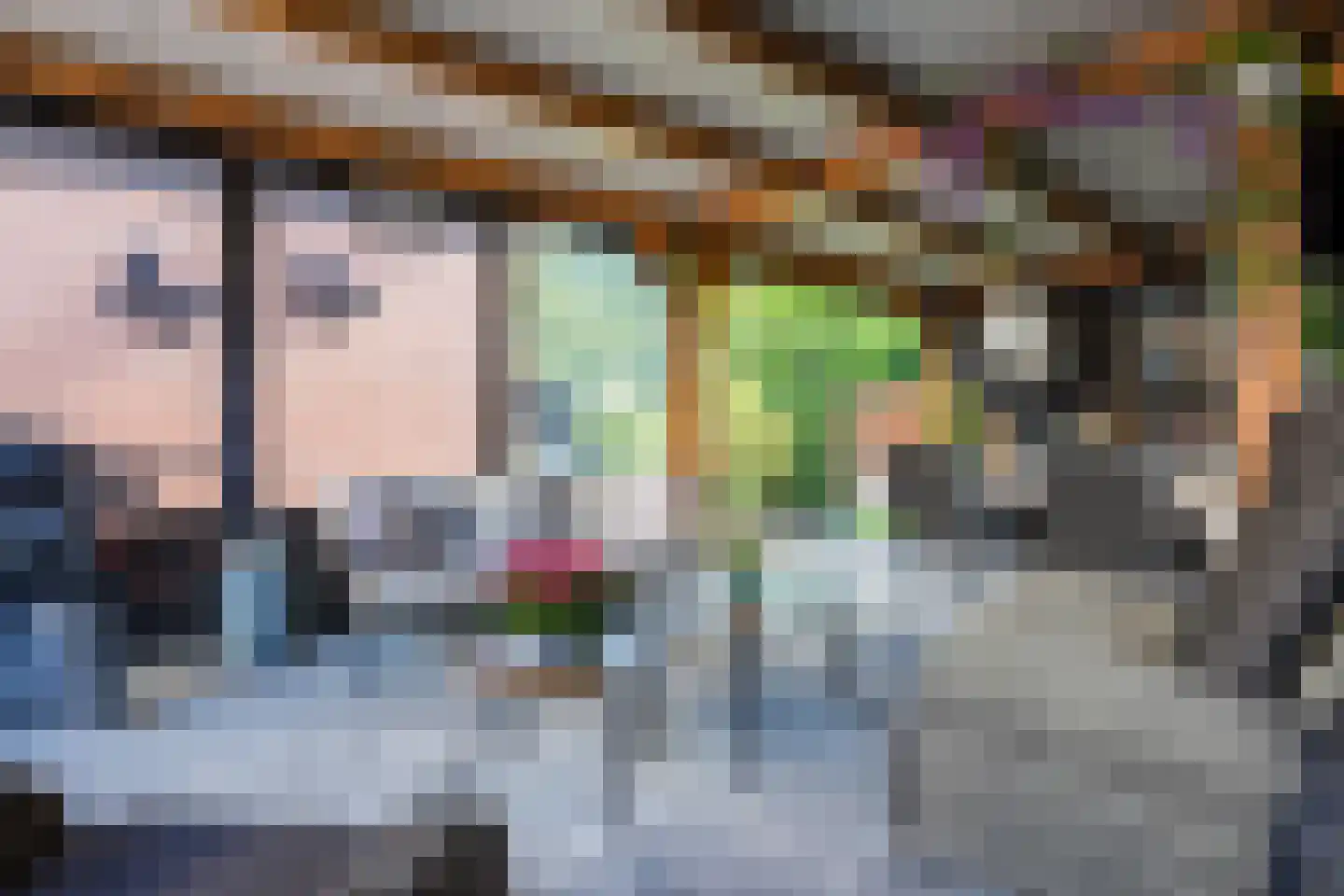 Meerboomweg 181 Hollandscheveld thumbnail 56
