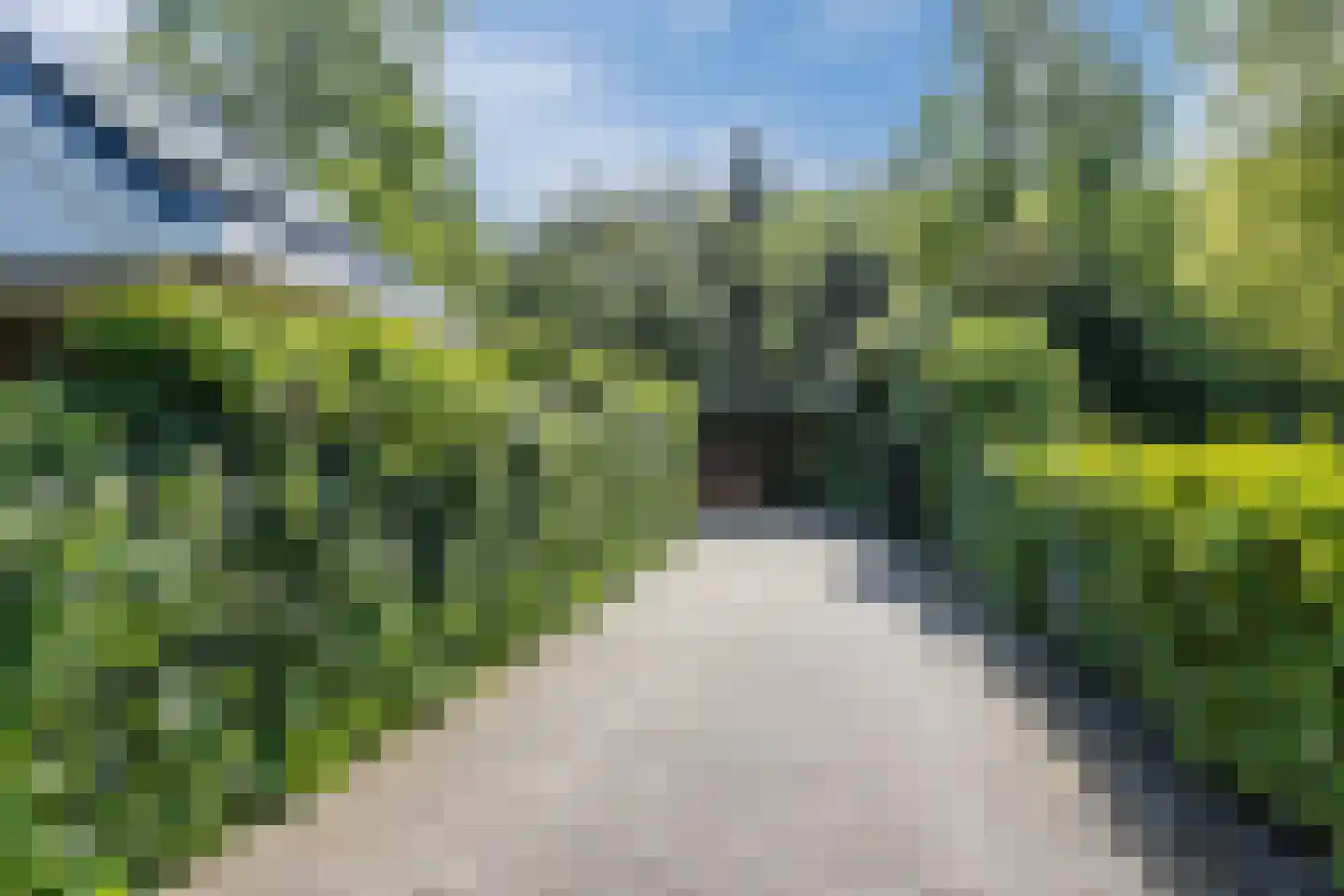 Meerboomweg 181 Hollandscheveld thumbnail 61