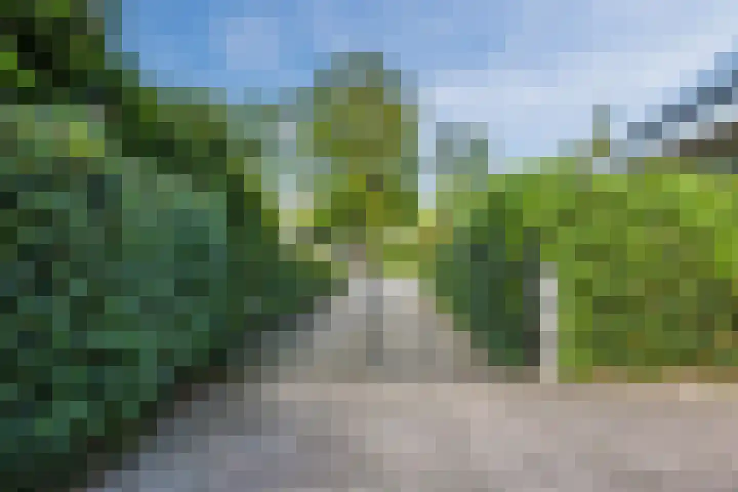 Meerboomweg 181 Hollandscheveld thumbnail 62