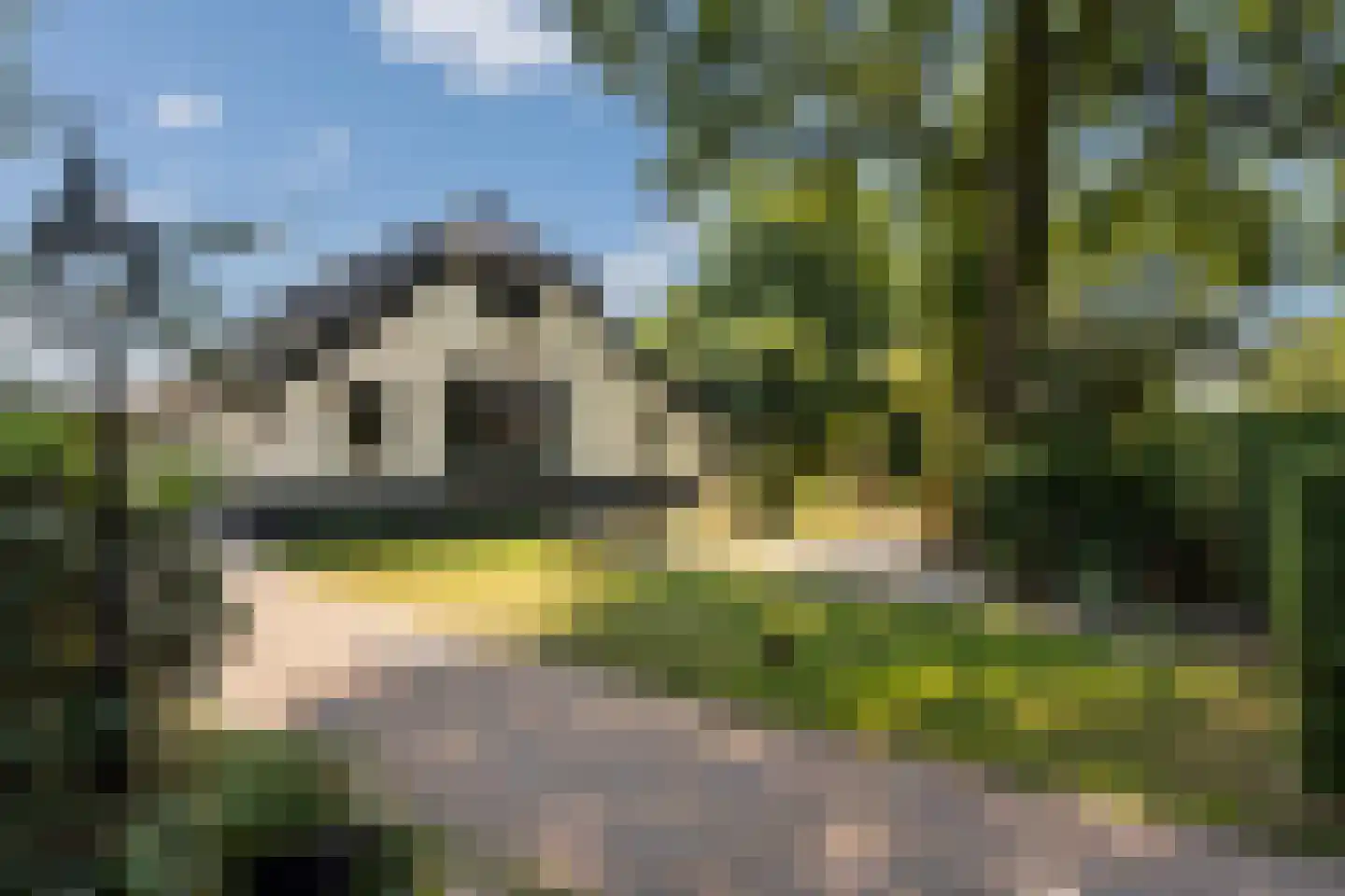 Meerboomweg-Zuid 13 Hollandscheveld