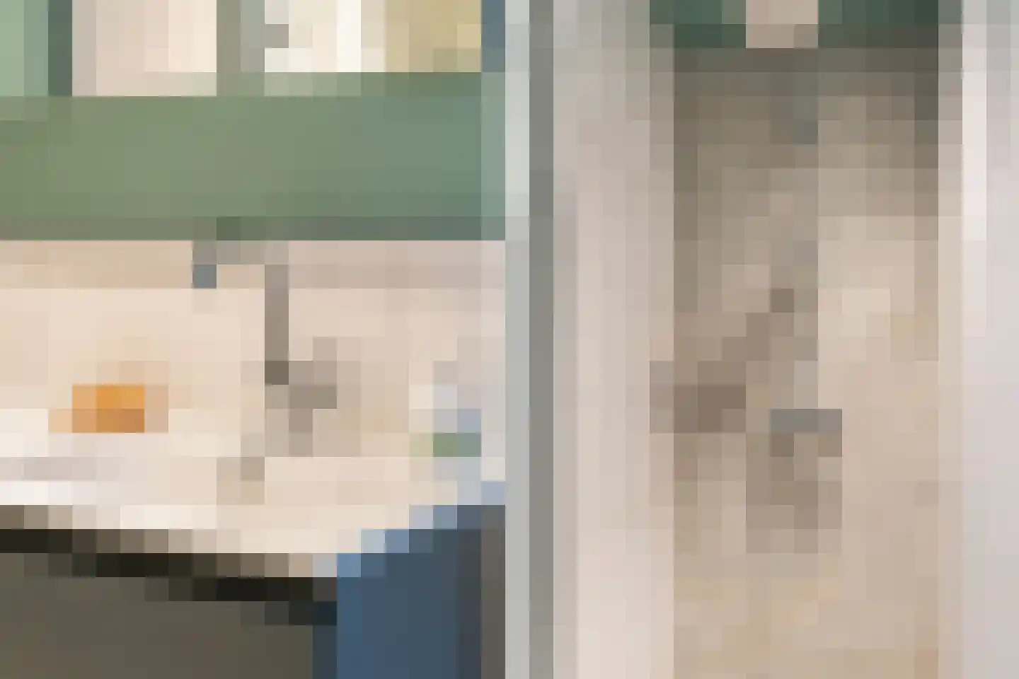 Meerboomweg-Zuid 13 Hollandscheveld thumbnail 14