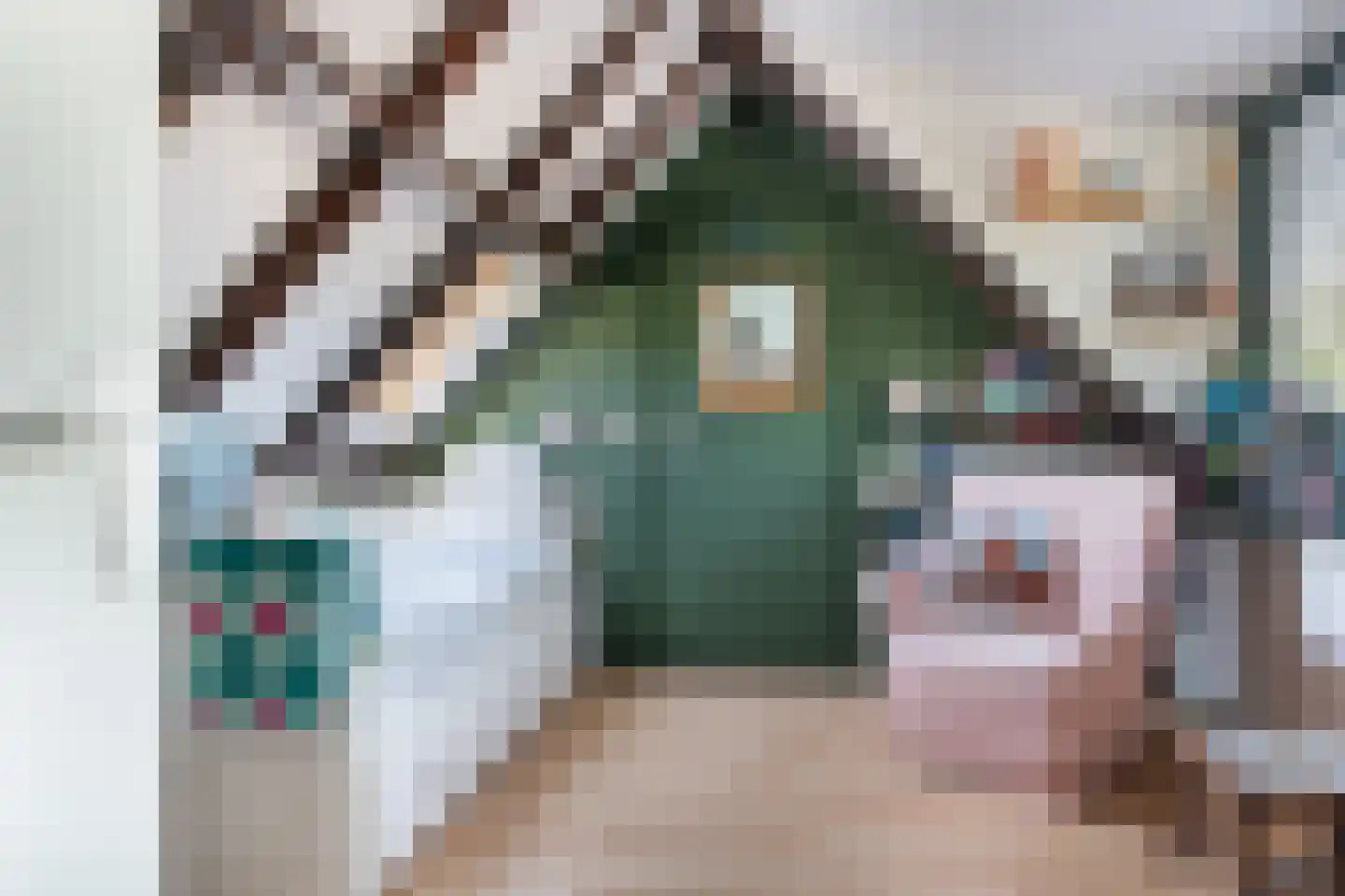 Meerboomweg-Zuid 13 Hollandscheveld thumbnail 19
