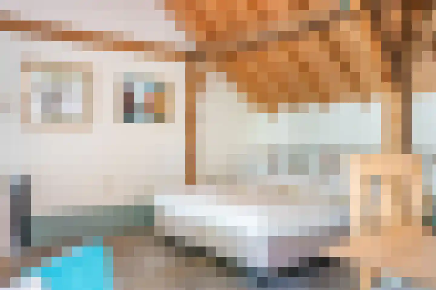 Meerboomweg-Zuid 13 Hollandscheveld thumbnail 23