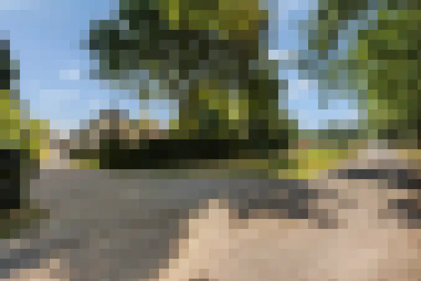 Meerboomweg-Zuid 13 Hollandscheveld thumbnail 27