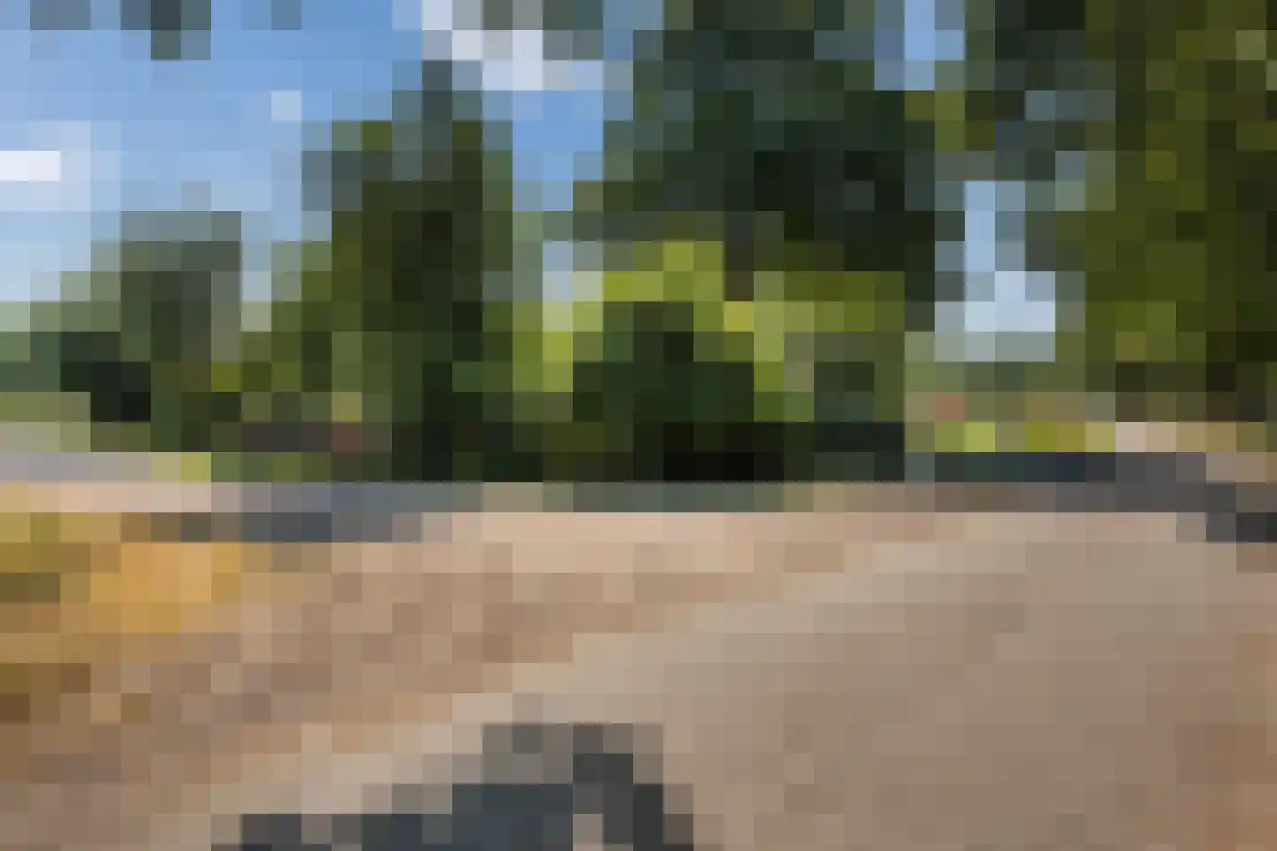 Meerboomweg-Zuid 13 Hollandscheveld thumbnail 28