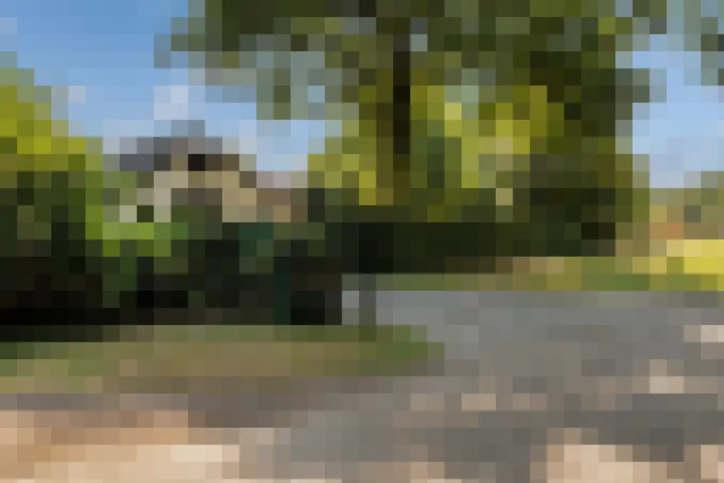 Meerboomweg-Zuid 13 Hollandscheveld thumbnail 29