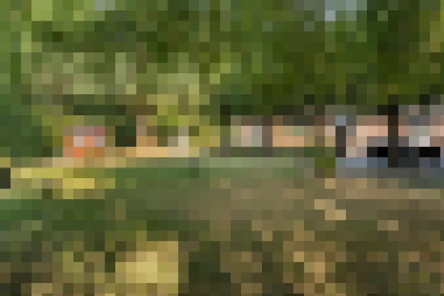 Meerboomweg-Zuid 13 Hollandscheveld thumbnail 31
