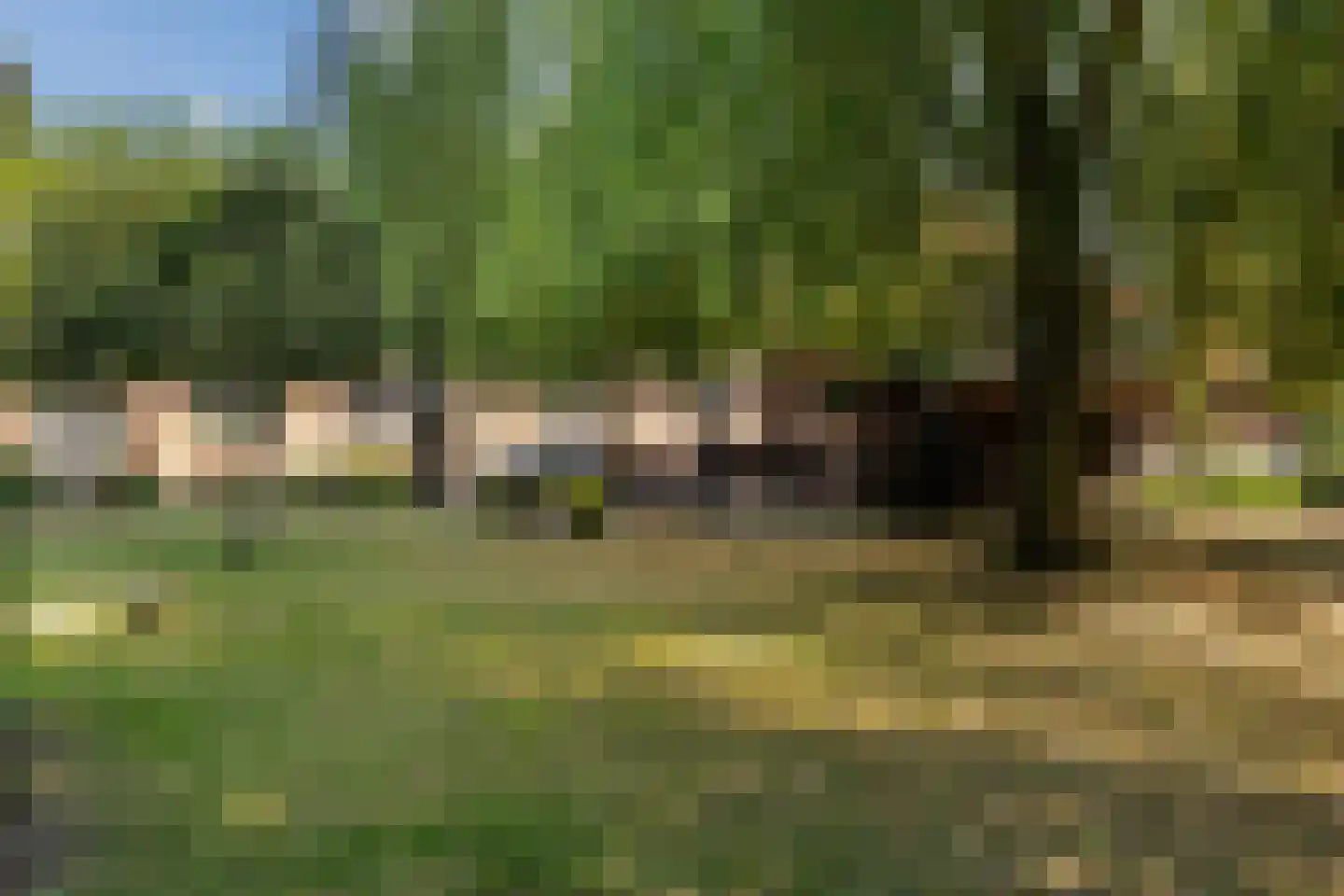 Meerboomweg-Zuid 13 Hollandscheveld thumbnail 32