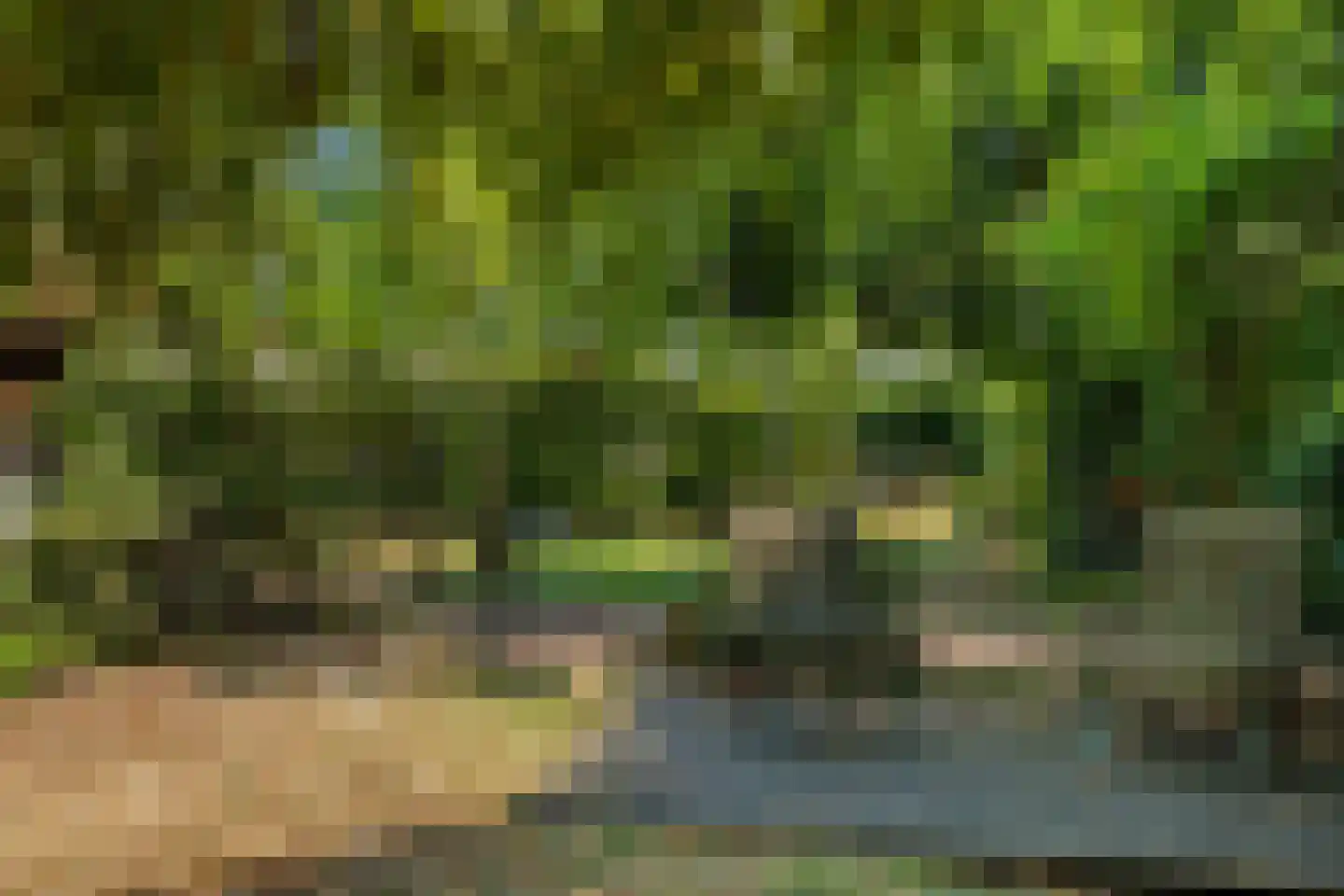 Meerboomweg-Zuid 13 Hollandscheveld thumbnail 34