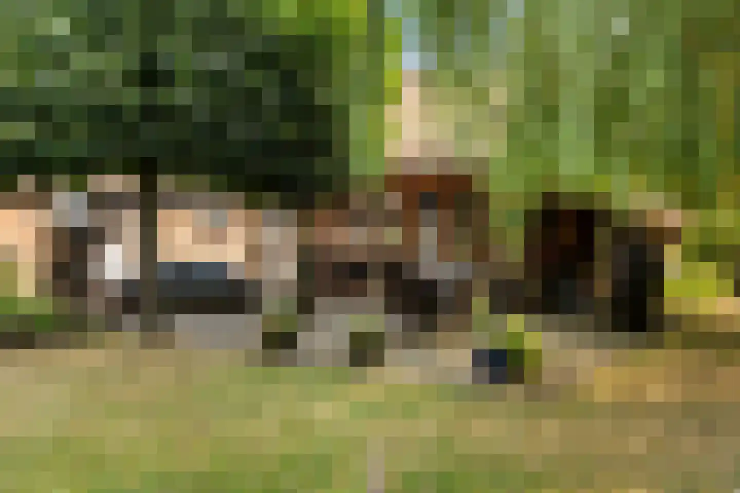 Meerboomweg-Zuid 13 Hollandscheveld thumbnail 37