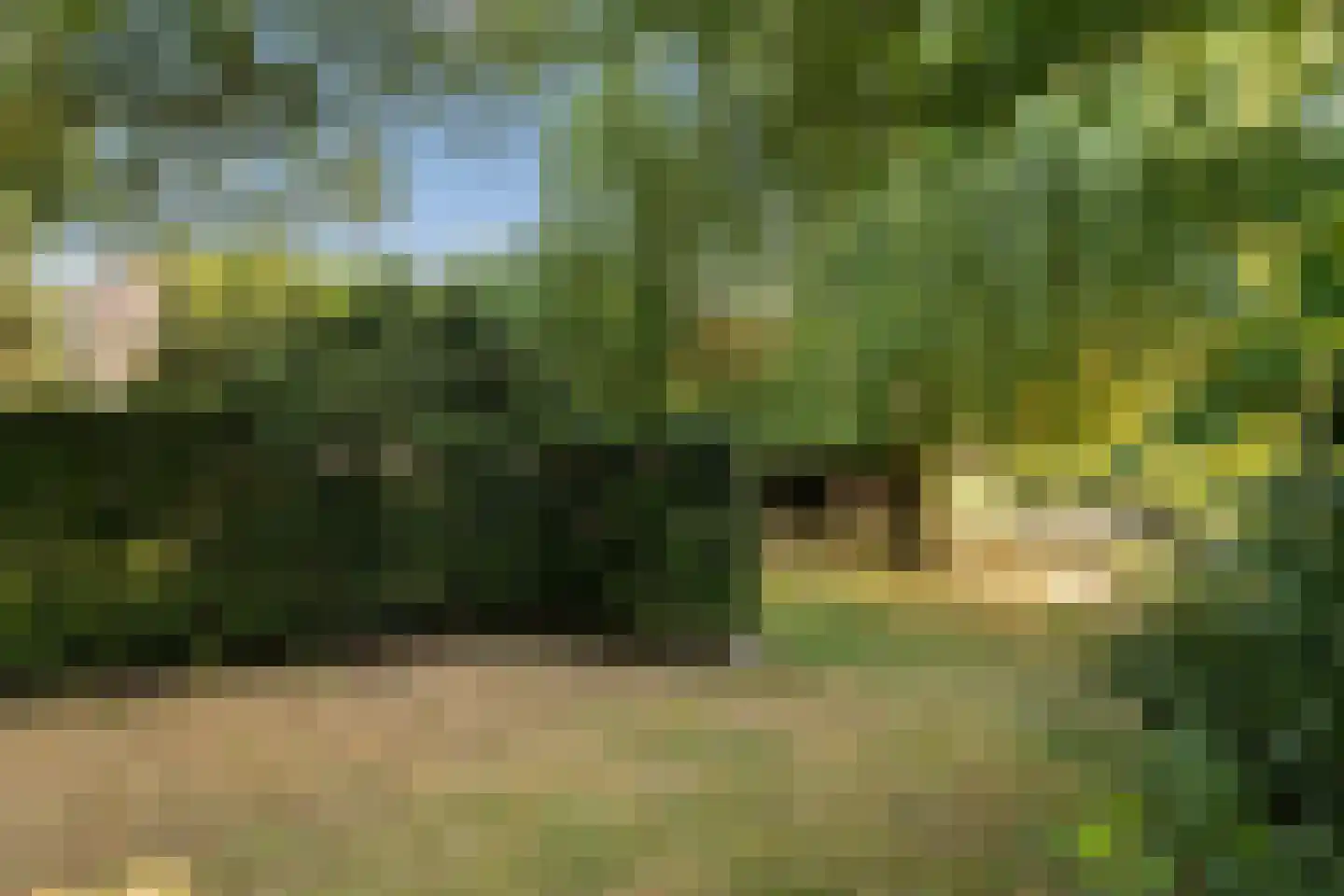 Meerboomweg-Zuid 13 Hollandscheveld thumbnail 38