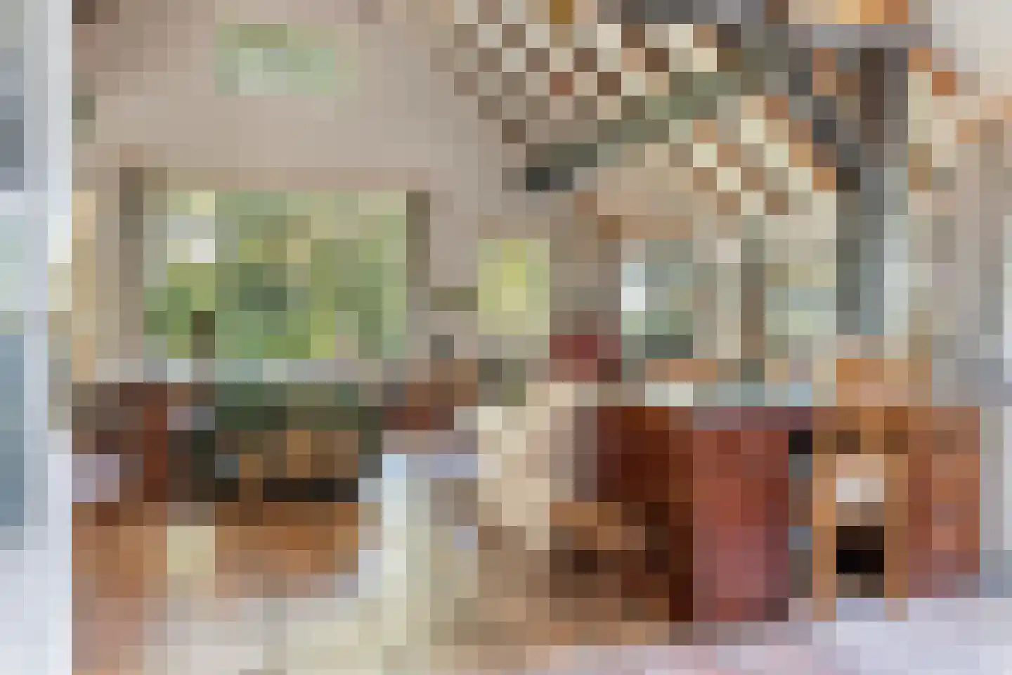 Meerboomweg-Zuid 13 Hollandscheveld thumbnail 4