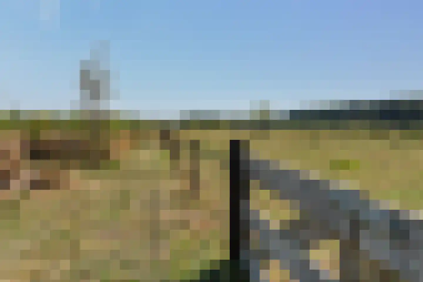 Meerboomweg-Zuid 13 Hollandscheveld thumbnail 40