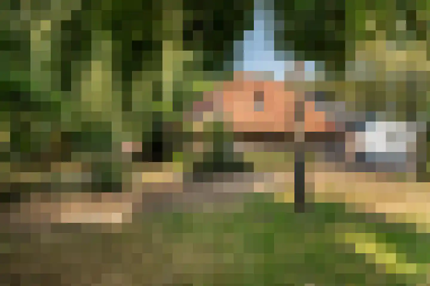 Meerboomweg-Zuid 13 Hollandscheveld thumbnail 42