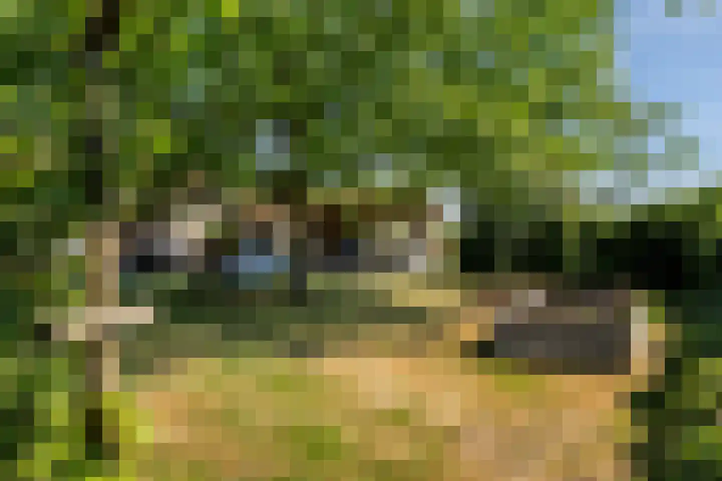 Meerboomweg-Zuid 13 Hollandscheveld thumbnail 48