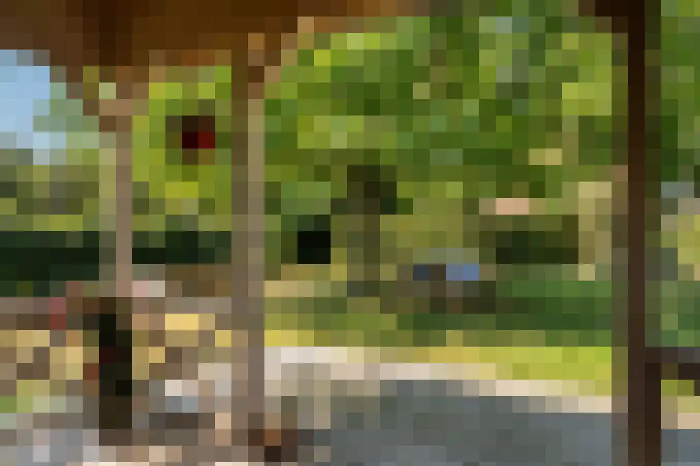 Meerboomweg-Zuid 13 Hollandscheveld thumbnail 49