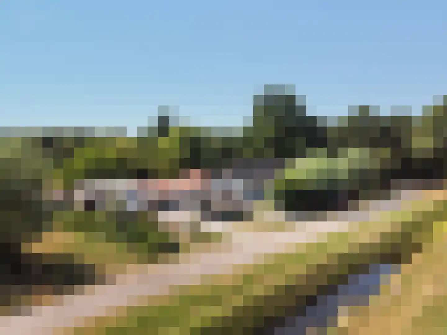 Meerboomweg-Zuid 13 Hollandscheveld thumbnail 50