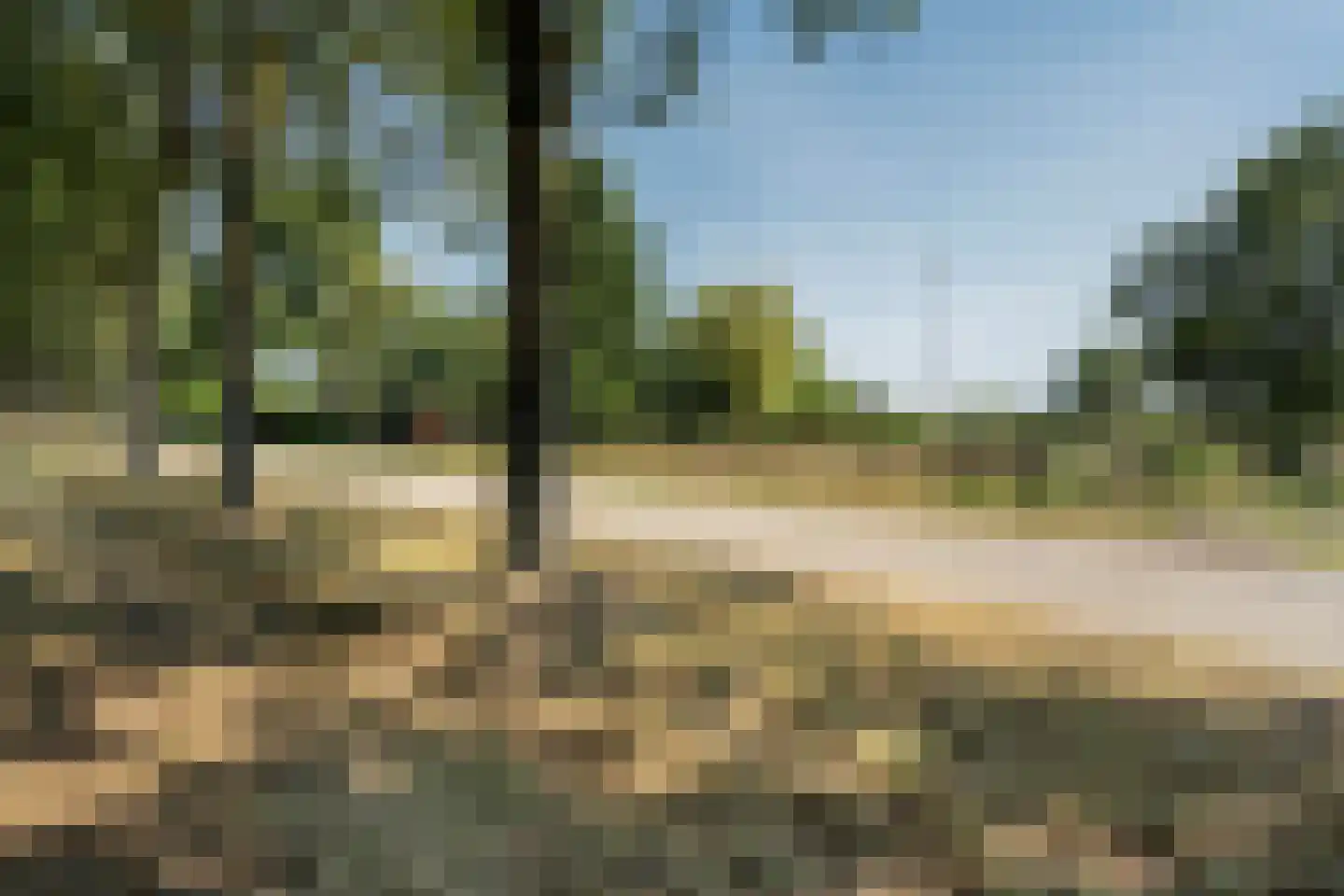 Meerboomweg-Zuid 13 Hollandscheveld thumbnail 51