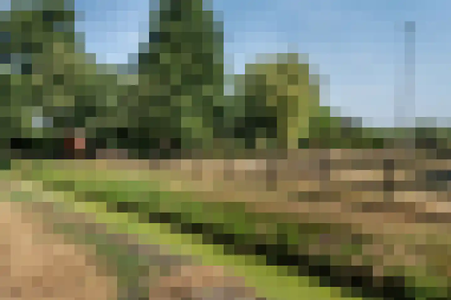 Meerboomweg-Zuid 13 Hollandscheveld thumbnail 52
