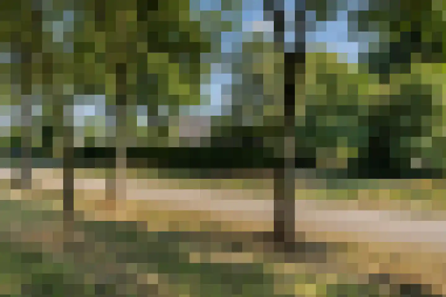 Meerboomweg-Zuid 13 Hollandscheveld thumbnail 54