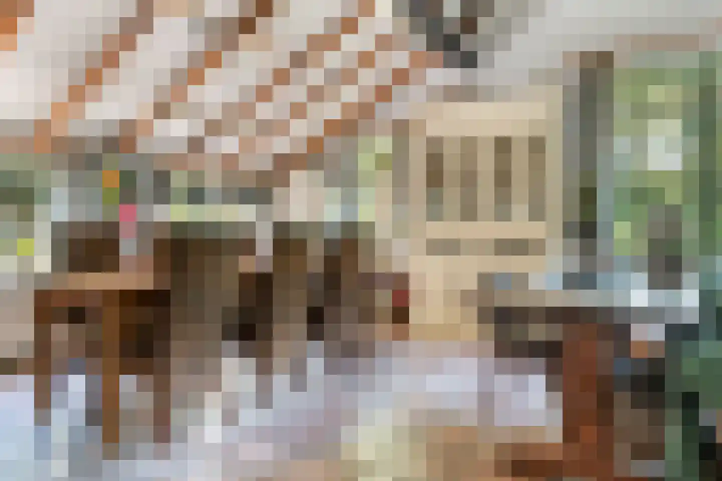 Meerboomweg-Zuid 13 Hollandscheveld thumbnail 9