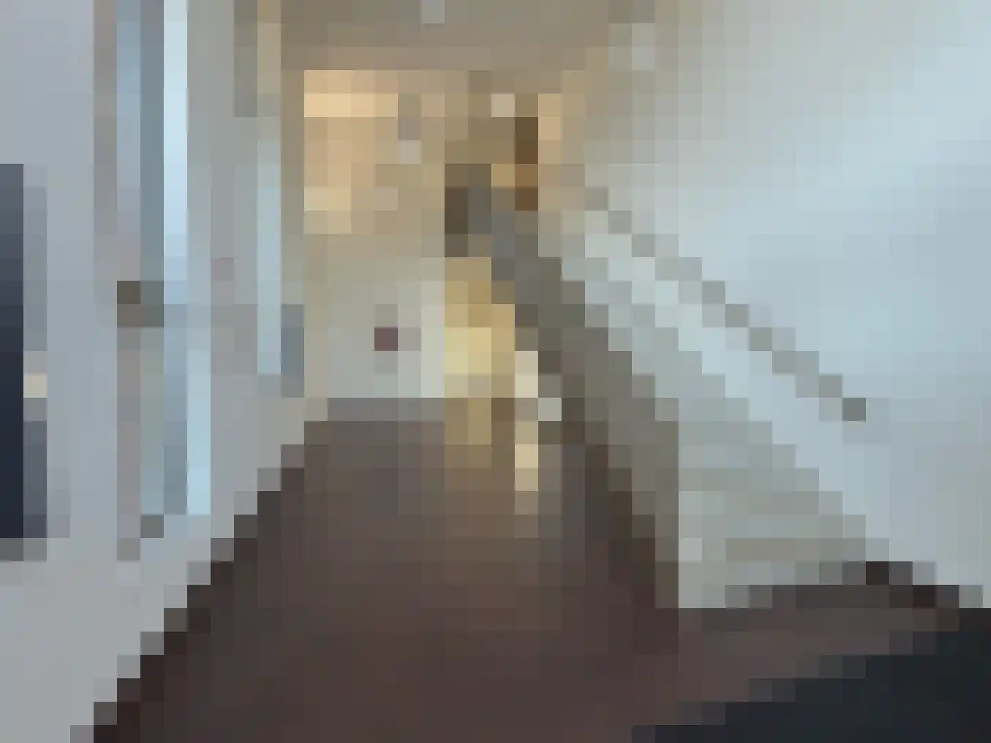 Meerbos 41 Eindhoven thumbnail 21