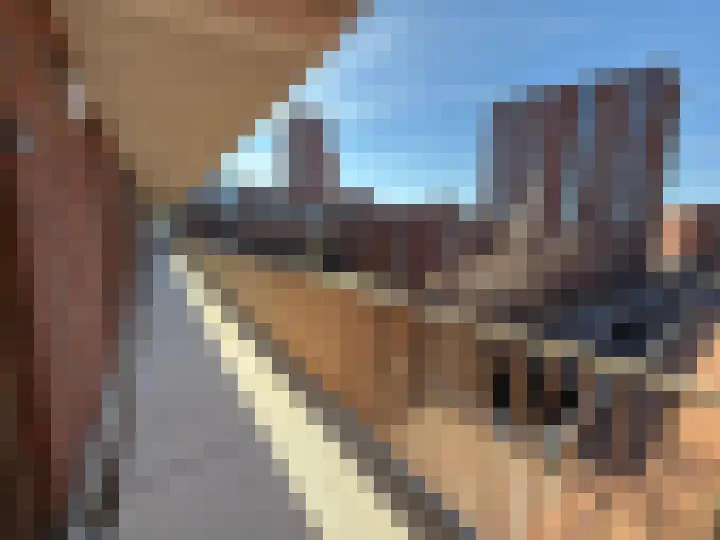 Meerbos 41 Eindhoven thumbnail 7