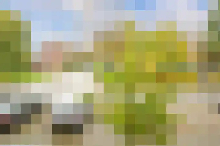 Meerburgerkade 47 Leiden thumbnail 11