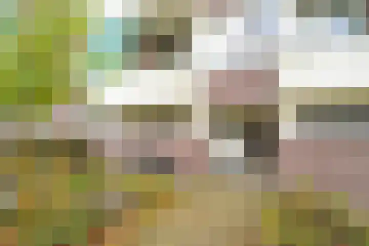 Meerburgerkade 47 Leiden thumbnail 20