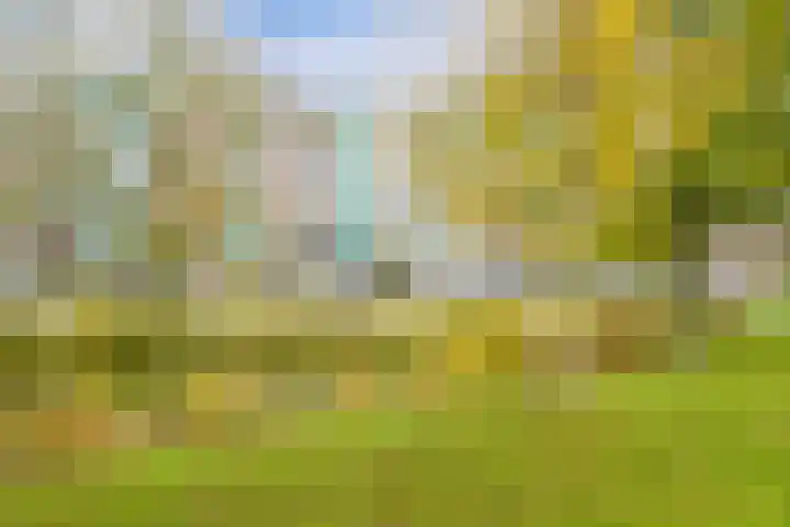 Meerburgerkade 47 Leiden thumbnail 22