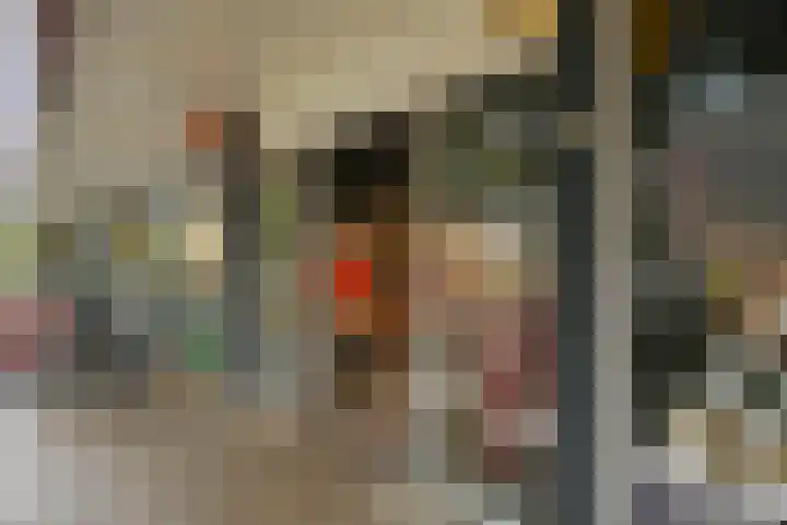 Meerburgerkade 47 Leiden thumbnail 23