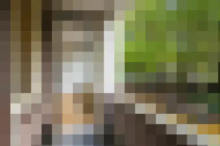 Meerburgerkade 47 Leiden thumbnail 6