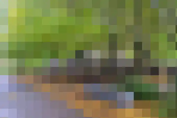 Meerburgerkade 47 Leiden thumbnail 7