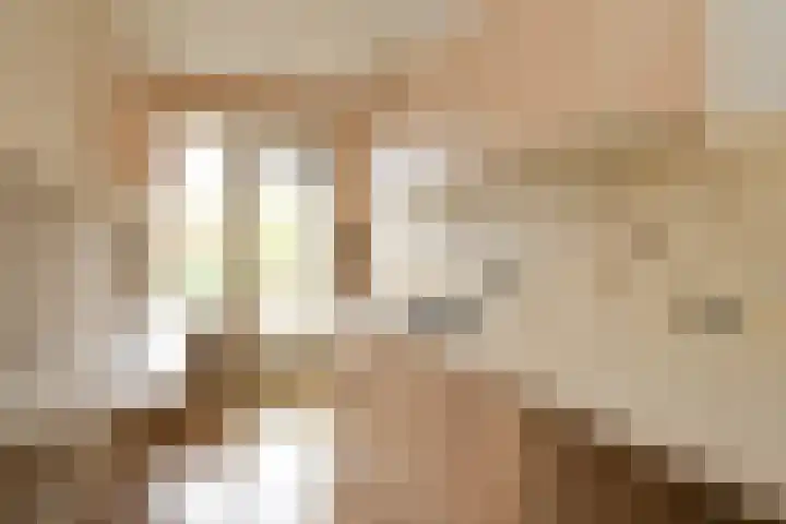 Meerburgerkade 47 Leiden thumbnail 8